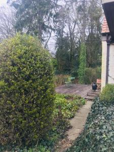 a garden with a wooden deck and a bench at Panacée Guesthouses in Ronse