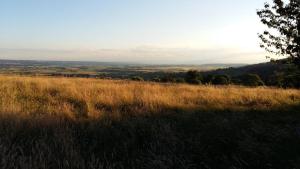 un champ de gazon haut offrant une vue sur la campagne dans l'établissement Au dessus de Parady, à Gillonnay