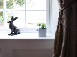 un lapin assis sur un rebord de fenêtre à côté d'une plante dans l'établissement Pengelly Farmhouse B&B, à Truro