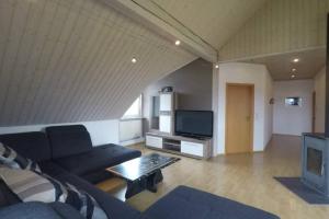 ein Wohnzimmer mit einem Sofa und einem TV in der Unterkunft Ferienwohnung Leutkirch offen hell hoch schöne Aussicht in Leutkirch im Allgäu