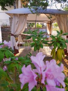 A garden outside Villa Elvira