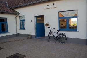 Jízda na kole v ubytování Vakantiewoning De Wilg - rustig gelegen nebo okolí