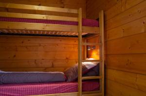 a bedroom with two bunk beds in a cabin at Gite Balnéo La Pomme de Pin in Sixt