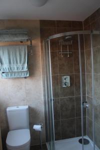 a bathroom with a shower and a toilet at The Swallows in Seend