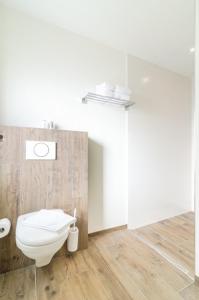 a bathroom with a toilet and a shower at Gasthof Fabriggli Wallbach CH in Wallbach