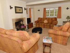 a living room with two couches and a dog in it at Twyford Farm B&B in Haywards Heath