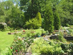 un jardin avec beaucoup de plantes et de fleurs dans l'établissement Ty Cefn Tregib B&B, à Llandeilo