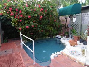 a small swimming pool in front of a bush with pink roses at Suite Dreams Inn by the Beach in Key West