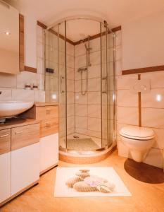 a bathroom with a shower and a toilet and a sink at Ferienwohnung Casa del Vino in Erbach
