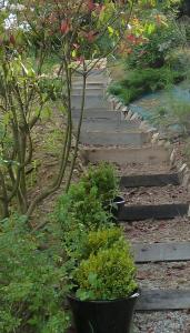 un camino de piedra en un jardín con algunas plantas en Lyon Campagne en Rontalon
