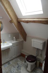 een badkamer met een toilet, een wastafel en een dakraam bij The Dairy at High House in Tintinhull