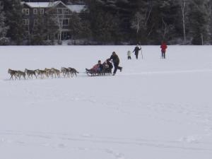 a group of people being pulled by a team of dogs in the snow at The Haus On Mirror Lake in Lake Placid