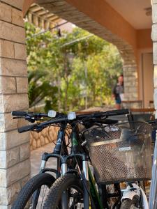 dos bicicletas estacionadas junto a una pared de piedra en Apartments Marina en Rab