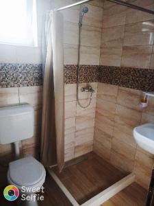 a bathroom with a shower and a toilet and a sink at Silent home in Visoko
