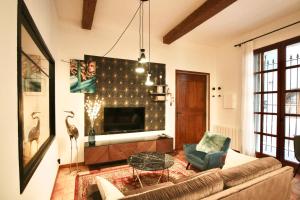 佩澤納斯的住宿－Pézenas Cocoon，带沙发和壁炉的客厅