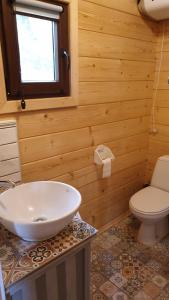 a bathroom with a white sink and a toilet at Sielski domek Zielony Zakątek in Kętrzyn