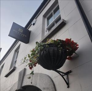 a flower pot on the side of a building with flowers at Hillyard House Hotel in Castlewellan