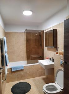 a bathroom with a toilet and a sink and a shower at Sorin`s Comfortable Apartment in Braşov
