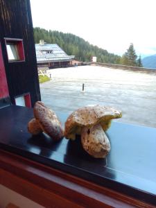 Deux grands champignons assis sur un rebord de fenêtre avec vue dans l'établissement Piccolo Igloo, à Falcade