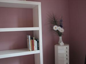 półka z książkami i waza z kwiatami w obiekcie Vila Vanilka w mieście Bechyně