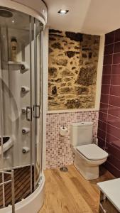 a bathroom with a shower and a toilet in it at Villageermis - Casa Rural in Moraña +38 photos