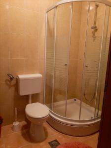 y baño con ducha y aseo. en Apartments Čepo, en Makarska