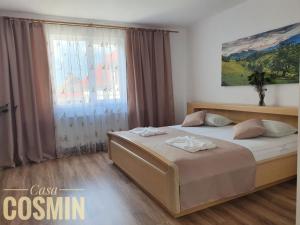 Foto dalla galleria di Casa Cosmin Cincu a Cincu