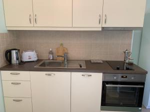 Kuchyň nebo kuchyňský kout v ubytování Sepa apartments