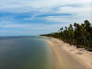 - une plage avec des palmiers et l'océan dans l'établissement Carneiros Beach Resort - Paraíso Beira Mar, à Praia dos Carneiros