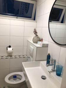 La salle de bains est pourvue d'un lavabo, d'un miroir et de toilettes. dans l'établissement Het Doktershuys, à Gieten