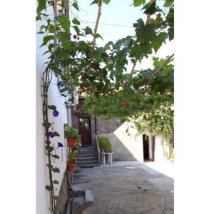 Vonkajšia záhrada v ubytovaní CASA "O Campo"