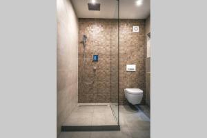 a bathroom with a shower and a toilet at Life ATMOsphäre Apartment Lahr-Schwarzwald in Lahr