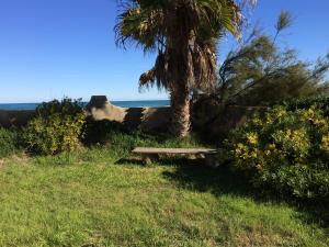 una panchina seduta sull'erba accanto a una palma di Beach House Villa Roca a Cullera
