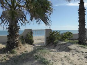 a gate on the beach with palm trees and the ocean at Beach House Villa Roca in Cullera