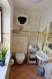 ein Bad mit einem WC und einem Waschbecken in der Unterkunft Elbblick in Prossen