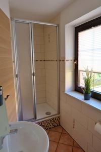 ein Bad mit einer Dusche und einem Waschbecken in der Unterkunft Elbblick in Prossen