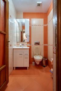 Un baño con inodoro, lavabo y espejo. en Casa cu Flori Moisei, en Moisei 53 fotos más