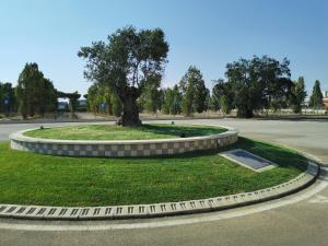 A garden outside La Maison Latina Guest House