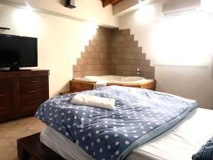 um quarto com uma cama, uma banheira e uma televisão em בקתות היובל em Qiryat Shemona