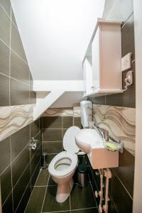 a bathroom with a toilet and a sink at Apartmani Sunčev breg Vlasinsko jezero in Surdulica