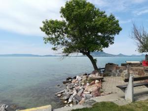 Paesaggio naturale nelle vicinanze dell'appartamento
