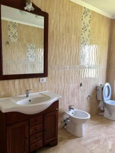 a bathroom with a sink and a toilet and a mirror at Conacul Lupilor in Satu Şugatag +48 photos