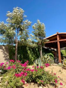 Deux arbres et des fleurs roses dans un jardin dans l'établissement Quinta Lorame, à San Antonio de las Minas