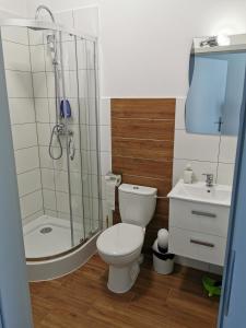 uma casa de banho com um WC, um chuveiro e um lavatório. em Wielobranżówka em Szepietowo