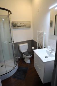 a bathroom with a toilet and a sink and a shower at L'appartement 62 in Le Lonzac