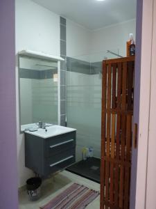 bagno con lavandino e doccia con specchio di Bel appartement Résidence Crystal beach avec citerne individuelle a Saint-François