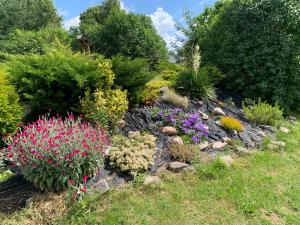 um jardim com flores e plantas coloridas em Pod Papugami em Laskowice