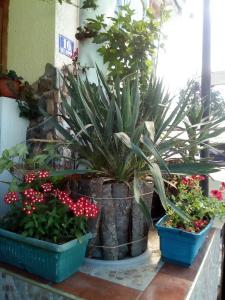 حديقة خارج Malgo
