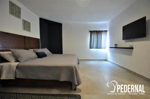 1 dormitorio con 1 cama y TV de pantalla plana en Pedernal Hotel en San Miguel de Allende