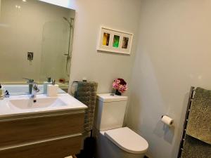 a bathroom with a sink and a toilet and a mirror at Executive style bedroom in Kelburn